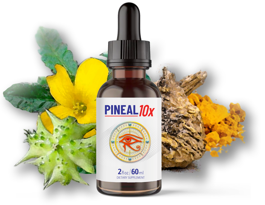 ineal 10x | Supplements